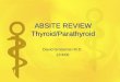 ABSITE REVIEW Thyroid/Parathyroid David Grossman M.D. 12/4/06