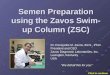 Semen Preparation using the Zavos Swim- up Column (ZSC) Dr. Panayiotis M. Zavos, Ed.S., Ph.D. President and CEO Zavos Diagnostic Laboratories, Inc. Lexington,