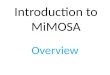 Introduction to MiMOSA Overview. What is MiMOSA? IOM Global Information System – Biographic and Demographic Data – Operational Activities Migrant Assistance