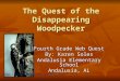 The Quest of the Disappearing Woodpecker Fourth Grade Web Quest By: Karen Soles Andalusia Elementary School Andalusia, AL 