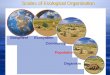 Scales of Ecological Organization Organism Population Community EcosystemBiosphere