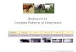 Review ch 11 Complex Patterns of Inheritance Biology