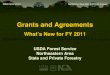 USDA Forest Service Northeastern Area State and Private Forestry Grants and Agreements USDA Forest Service Northeastern Area State and Private Forestry