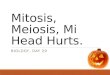 Mitosis, Meiosis, Mi Head Hurts. BIOLOGY, DAY 29