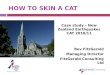 HOW TO SKIN A CAT Case study – New Zealand Earthquakes CAT 2010/11 Bev FitzGerald Managing Director FitzGerald Consulting Ltd