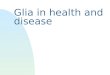 Glia in health and disease. Aim nunderstand role of glial cells u in health F astrocytes F oligodendrocytes F microglia u and disease