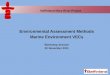 Baffinland Mary River Project Environmental Assessment Methods Marine Environment VECs Workshop Session 02 November 2011