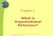 Chapter 1, Stephen P. Robbins and Nancy Langton, Fundamentals of Organizational Behaviour, Second Canadian Edition. Copyright © 2004 Pearson Education