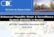 Enhanced Hepatitis Strain & Surveillance System (EHSSS) in Review 2000-2009 BCCDC Hepatitis Services Site Site Investigator: Liza McGuinness