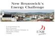 New Brunswick’s Energy Challenge A presentation by Kurt Peacock 2007/08 Crabtree Scholar in NB Public Policy UNBSJ