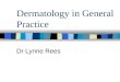 Dermatology in General Practice Dr Lynne Rees. Description of skin lesions Papule Macule Nodule Patch Vesicle Bulla Plaque