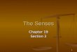 1 The Senses Chapter 19 Section 3. 2 Key Concepts How do your eyes enable you to see? How do your eyes enable you to see? How do you hear and maintain