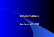Inflammation Jan Laco, MD, PhD. Inflammation complex protective reaction caused by various endo- and exogenous stimuli injurious agents are destroyed,