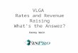 VLGA Rates and Revenue Raising What’s the Answer? Danny Wain