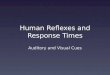Human Reflexes and Response Times Auditory and Visual Cues