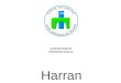 DEPARTMENT PRESENTATION Harran University Environmental Engineering Department, 2013