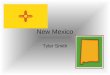New Mexico Tyler Smith. States that border New Mexico Utah Arizona Oklahoma Mexico Colorado