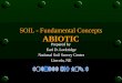 SOIL - Fundamental Concepts ABIOTIC Prepared by Earl D. Lockridge National Soil Survey Center Lincoln, NE