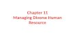 Chapter 11 Managing Diverse Human Resource. HRM at the earlier stages Up till the mid 1960s, HRM activities were only limited to maintaining files related