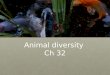 Animal diversity Ch 32. Overview: Welcome to Your Kingdom The animal kingdom extends far beyond humans and other animals we may encounterThe animal kingdom
