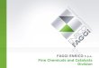 FAGGI ENRICO S.p.a. Fine Chemicals and Catalysts Division