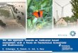 1 The EEA approach towards an indicator based assessment with a focus on Terrestrial Ecosystems and Biodiversity O. Schweiger, M. Füssel, A. Jol, A. Marx