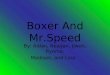 Boxer And Mr.Speed By: Aidan, Reagan, Jiwon, Ryoma, Madison, and Lina