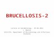 BRUCELLOSIS-2 Lecture on Epidemiology – 07-03-2012 L. Makrai SZIU-FVS, Department of Microbiology and Infectious Diseases