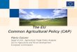 The EU Common Agricultural Policy (CAP) Flavio Coturni Head of Unit - Agricultural Trade Policy Analysis DG for Agriculture and Rural Development European