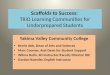 Scaffolds to Success: TRiO Learning Communities for Underprepared Students Yakima Valley Community College Kerrie Abb, Dean of Arts and Sciences Marc Coomer,