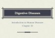 Digestive Diseases Introduction to Human Diseases Chapter 10