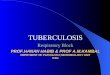 PROF.HANAN HABIB & PROF A.M.KAMBAL DEPRTMENT OF PATHOLOGY,MICROBIOLOGY UNIT KSU TUBERCULOSIS Respiratory Block