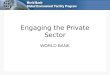 Engaging the Private Sector WORLD BANK. Extensive private sector engagement PPPs: Bank Group trust fund contributions from foundations and corporations