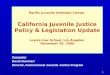 1 Pacific Juvenile Defender Center California Juvenile Justice Policy & Legislation Update Loyola Law School, Los Angeles November 20, 2009 Presenter David