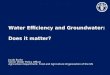 Water Efficiency and Groundwater: Does it matter? Jacob Burke Senior Water Policy Officer Agriculture Department, Food and Agriculture Organization of