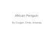 African Penguin By Cougan, Emily, Amanda,. There are 17 different kinds of penguins. The female penguins lay 2 eggs. Penguins can’t fly