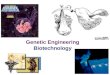 2006-2007 Genetic Engineering Biotechnology (c) define the term recombinant DNA; (d) explain that genetic engineering involves the extraction of genes