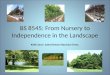 BS 8545: From Nursery to Independence in the Landscape Keith Sacre. Sales Director Barcham Trees