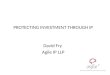 PROTECTING INVESTMENT THROUGH IP David Fry Agile IP LLP