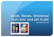 Acids, Bases, Universal Indicator and pH Scale By: Faisal Abu Issa