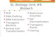 SL Biology Unit #6 Biotech PCR DNA Profiling DNA Extraction Transgenic Bacteria Animal Cell Transformation Restriction Enzymes Gel Electrophoresis Transgenic