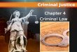 Criminal Justice Today Criminal Law Chapter 4 Criminal Justice