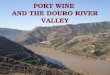 PORT WINE AND THE DOURO RIVER VALLEY. Location The Douro Valley is one of the most famous and most important wine producing regions in Portugal. Its boundaries