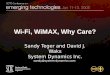 Wi-Fi, WiMAX, Why Care? Sandy Teger and David J. Waks System Dynamics Inc. sandy@system-dynamics.com