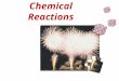 Chemical Reactions. Chemical & Physical Changes In a physical change, the chemical composition of the substance remains constant. Examples of physical