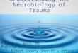 Understanding the Neurobiology of Trauma  Sunni D. Ward, MS  Victim Assistance Coordinator, Elbert County Sheriff’s Office February 19,2013