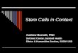 Stem Cells in Context Andrew Burnett, PhD DeGroot Center, Sanford Health Ethics & Humanities Section, SSOM USD