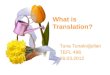 What is Translation? Tuna Tunalıoğulları TEFL 496 26.03.2012