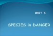UNIT 6. Species in danger Name (n) ad (v) adlandırmak Can you name? Can you name animals? Can you name WILD animals? Can you name some WILD animals?