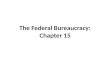 The Federal Bureaucracy: Chapter 15. What is a Bureaucracy? Hierarchical Authority Structure – Power flows top-down and responsibility bottom-to-top Task